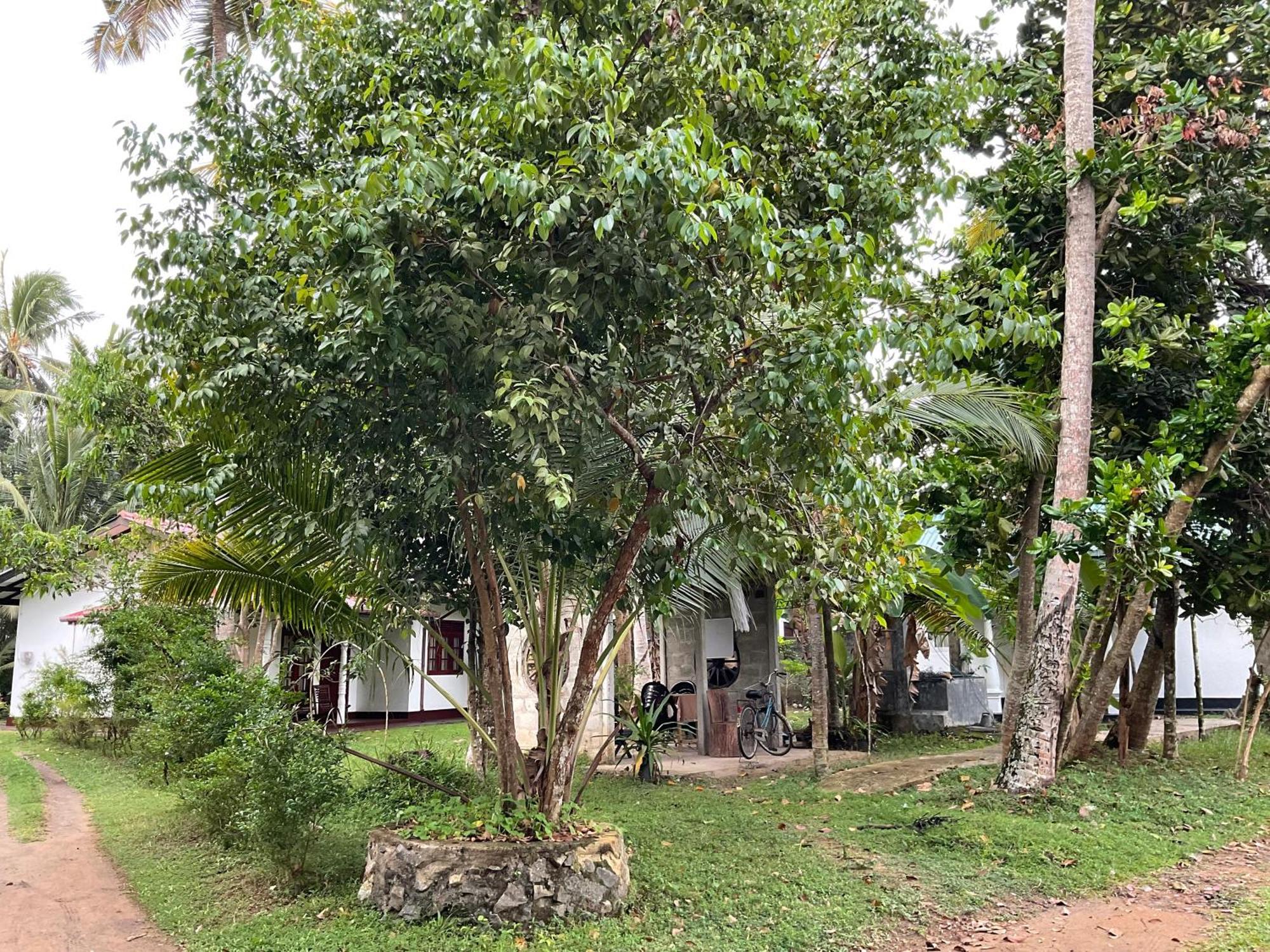 Bird Villa Galle Exterior photo