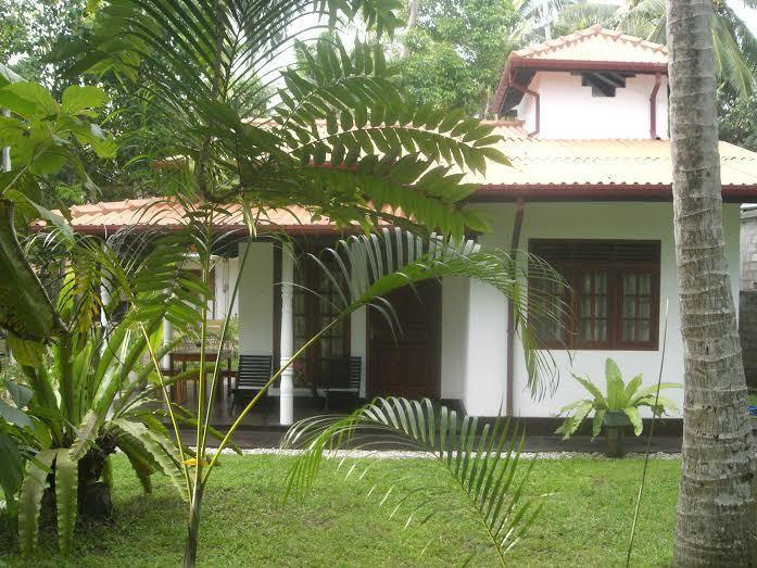 Bird Villa Galle Room photo