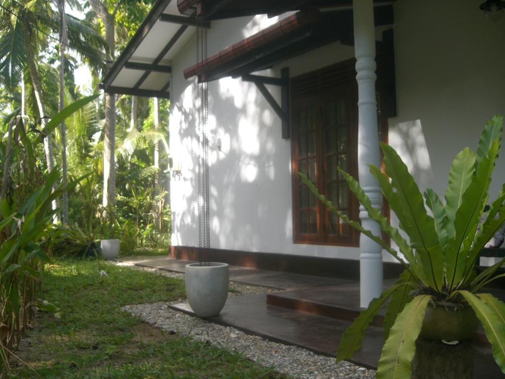 Bird Villa Galle Room photo